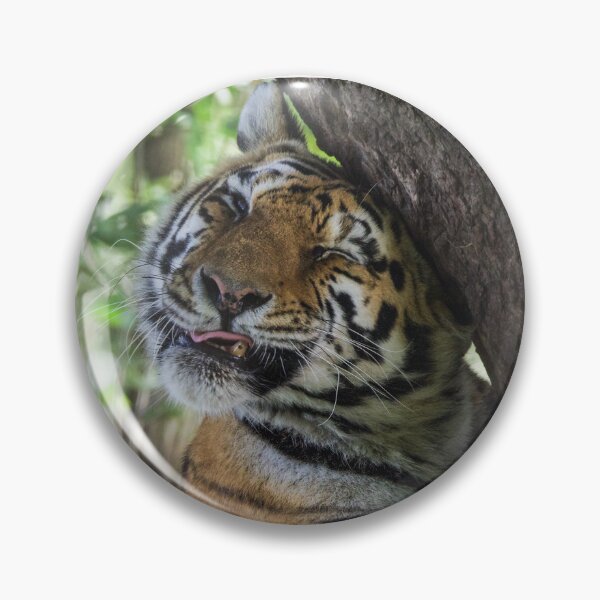 Item preview, Tiger Cuddling his Tree designed and sold by LFPPhotography.