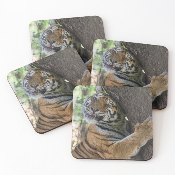 Item preview, Tiger Cuddling his Tree designed and sold by LFPPhotography.