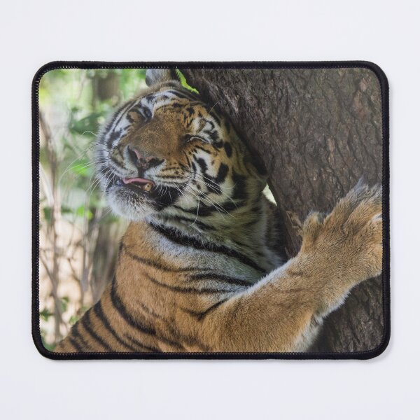 Item preview, Tiger Cuddling his Tree designed and sold by LFPPhotography.