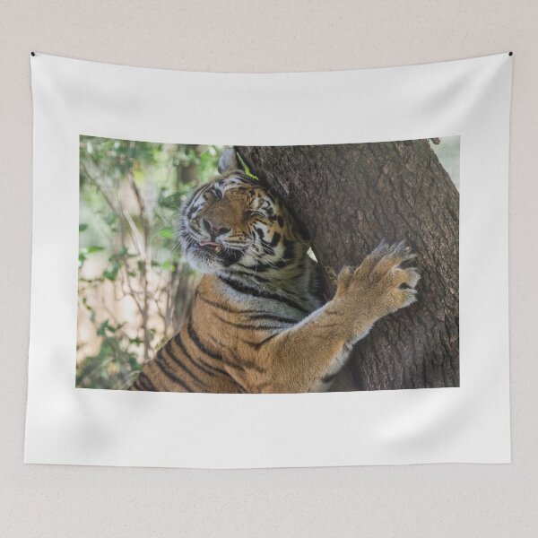 Item preview, Tiger Cuddling his Tree designed and sold by LFPPhotography.