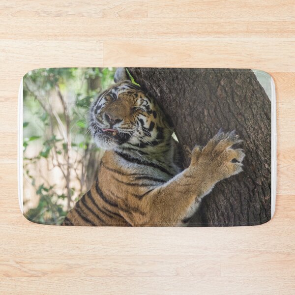 Item preview, Tiger Cuddling his Tree designed and sold by LFPPhotography.