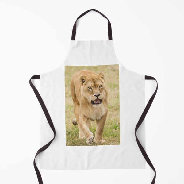 Item preview, Lion Patrolling its Surroundings  designed and sold by LFPPhotography.