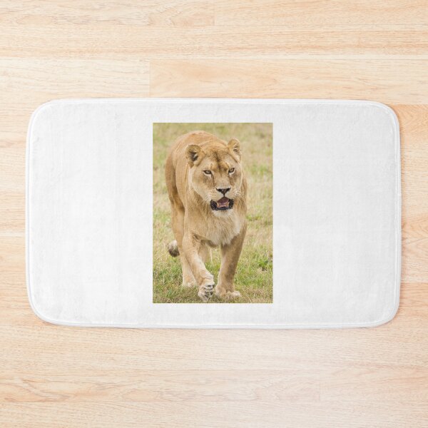 Item preview, Lion Patrolling its Surroundings  designed and sold by LFPPhotography.