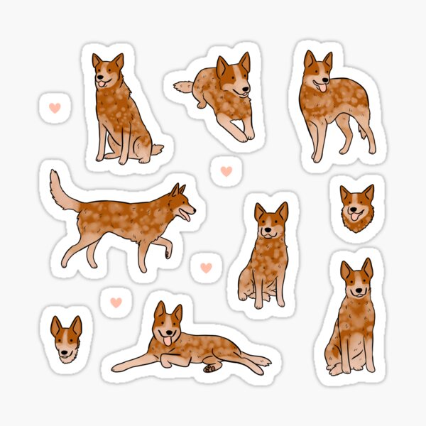 Australian Cattle Dog cute illustration pack Sticker