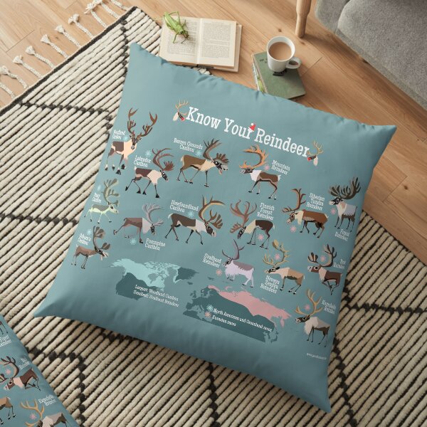 Know Your Reindeer Floor Pillow