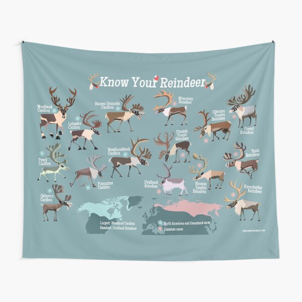 Know Your Reindeer Tapestry