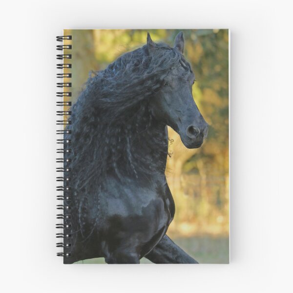 Item preview, Friesian Stallion Olof designed and sold by NadeenD.
