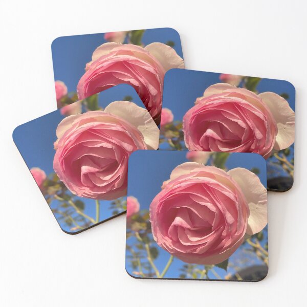 Item preview, A Rose and the Sky II designed and sold by Pisces-Pics.