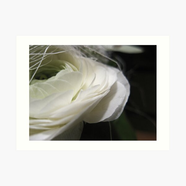 Delicate Art Print