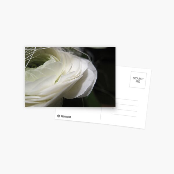 Delicate Postcard