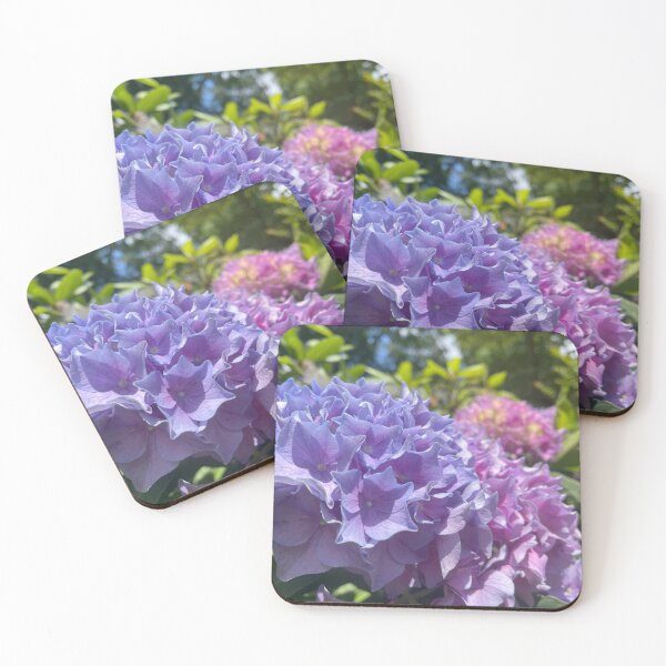 Item preview, Multi-color Hydrangeas designed and sold by Pisces-Pics.