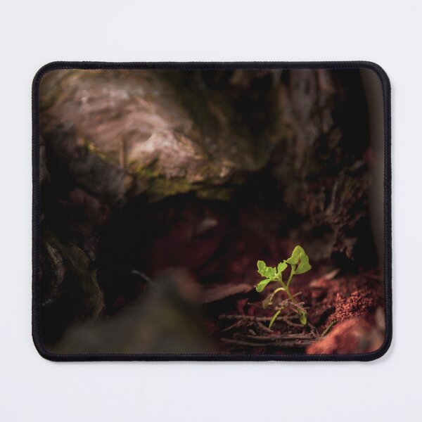 Item preview, New Growth designed and sold by Garrett Fisher.