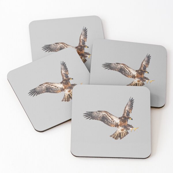 Item preview, hawk attacking designed and sold by JD369.