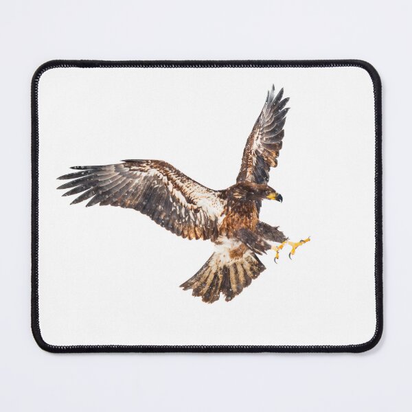 Item preview, hawk attacking designed and sold by JD369.