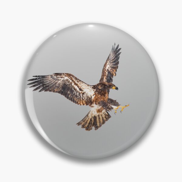 Item preview, hawk attacking designed and sold by JD369.
