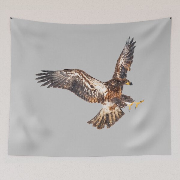 Item preview, hawk attacking designed and sold by JD369.