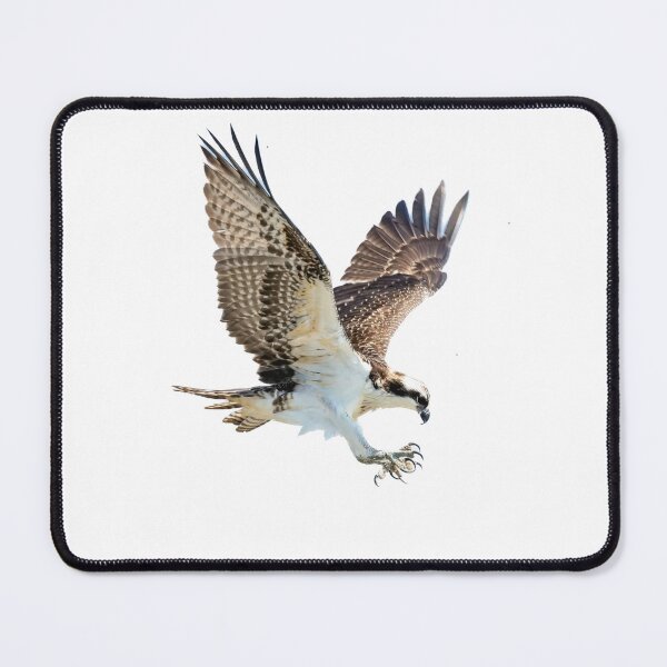Item preview, hawk attacking designed and sold by JD369.