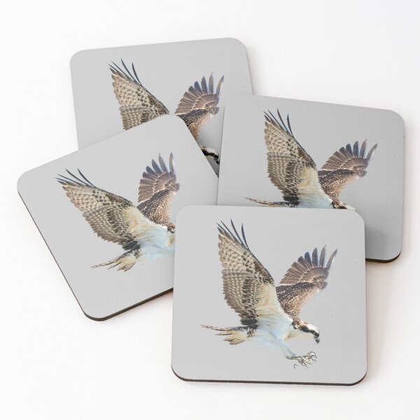 Item preview, hawk attacking designed and sold by JD369.