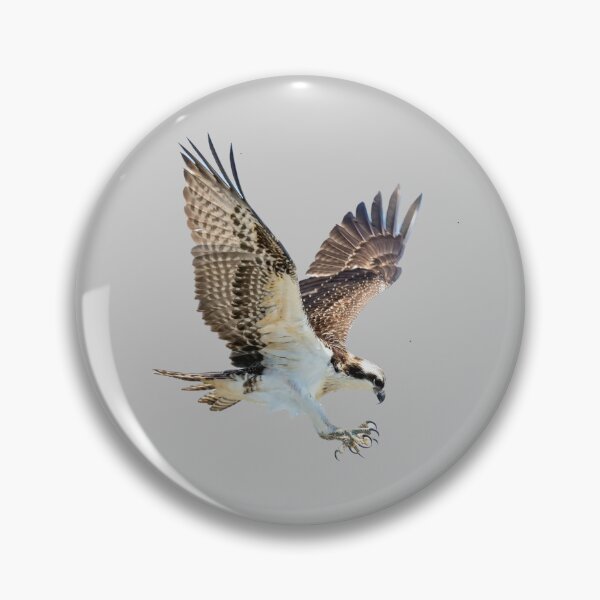 Item preview, hawk attacking designed and sold by JD369.