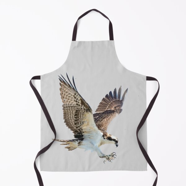 Item preview, hawk attacking designed and sold by JD369.