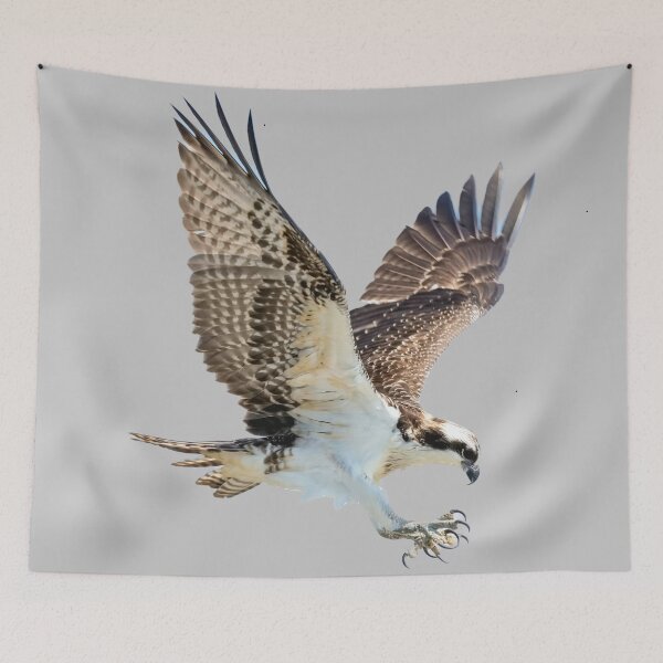 Item preview, hawk attacking designed and sold by JD369.