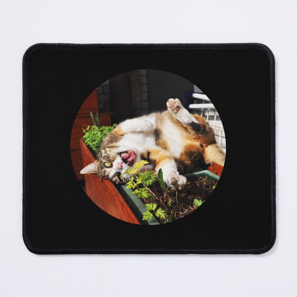 Item preview, Gatos callejeros de Skopelos #7 designed and sold by SMP-Shop.