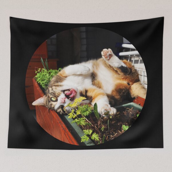 Item preview, Street Cats of Skopelos #7 designed and sold by SMP-Shop.