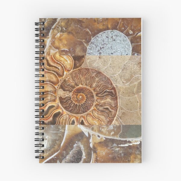 Item preview, Prehistoric Shell Fossils Montage Assemblage Color Design  designed and sold by EarthArtDesigns.