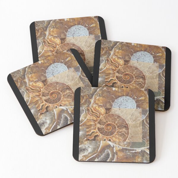 Item preview, Prehistoric Shell Fossils Montage Assemblage Color Design  designed and sold by EarthArtDesigns.