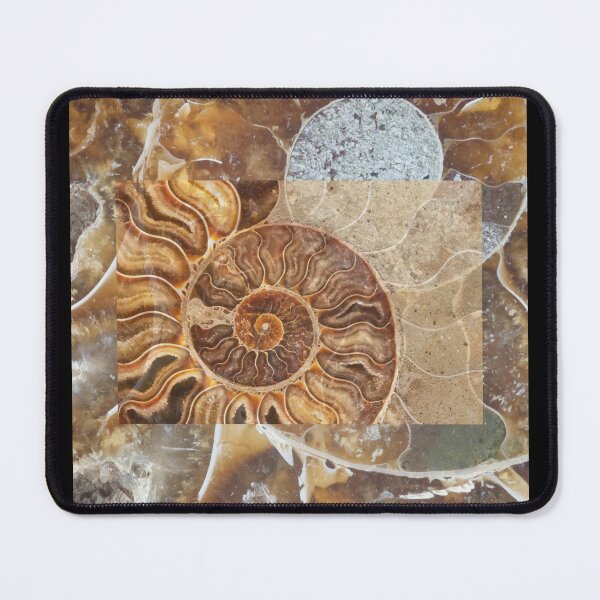 Item preview, Prehistoric Shell Fossils Montage Assemblage Color Design  designed and sold by EarthArtDesigns.