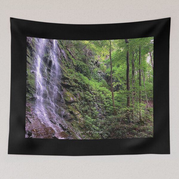 Item preview, Sill Branch Falls I, Erwin, Tennessee designed and sold by David Vanderwyst.