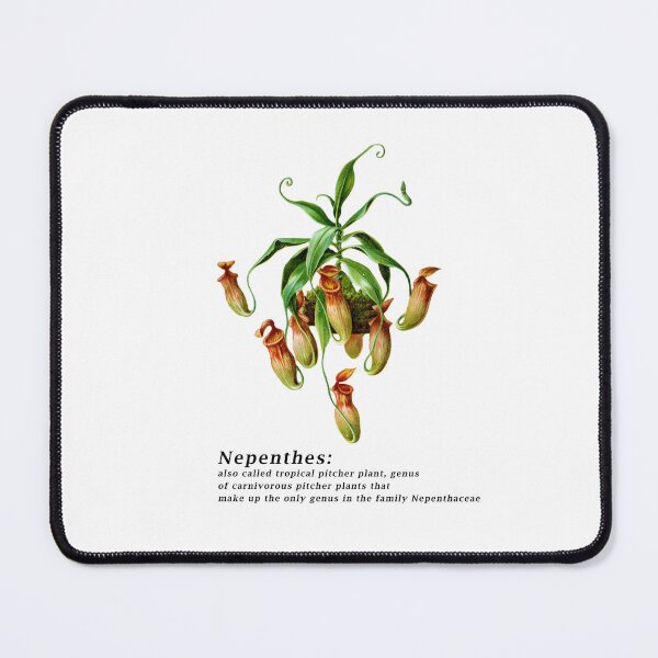 Item preview, Carnivorous plant Nepenthes, also called tropical pitcher plant designed and sold by EnR-designs.