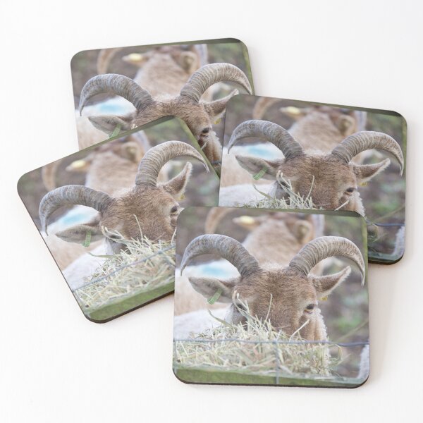 Item preview, Contentment in the Fields: A Ram at Peace with its Surroundings designed and sold by EllesBellesArt.