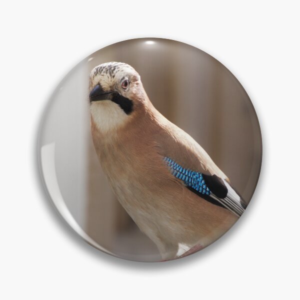 Item preview, "The Majestic Jaybird: A Picture of Beauty and Boldness" designed and sold by EllesBellesArt.