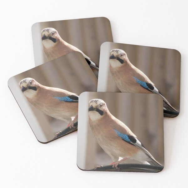 Item preview, "The Majestic Jaybird: A Picture of Beauty and Boldness" designed and sold by EllesBellesArt.