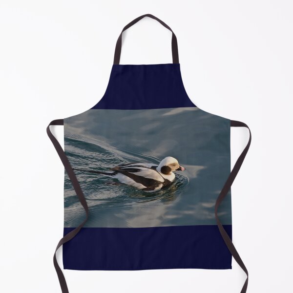 Item preview, Male Long Tail Duck at Harbourfront, Toronto, ON designed and sold by Gerda Grice Photography.