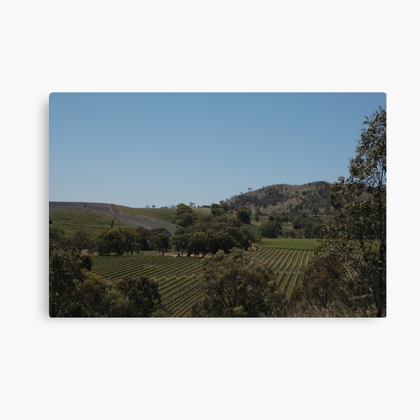 Lyndoch Canvas Print