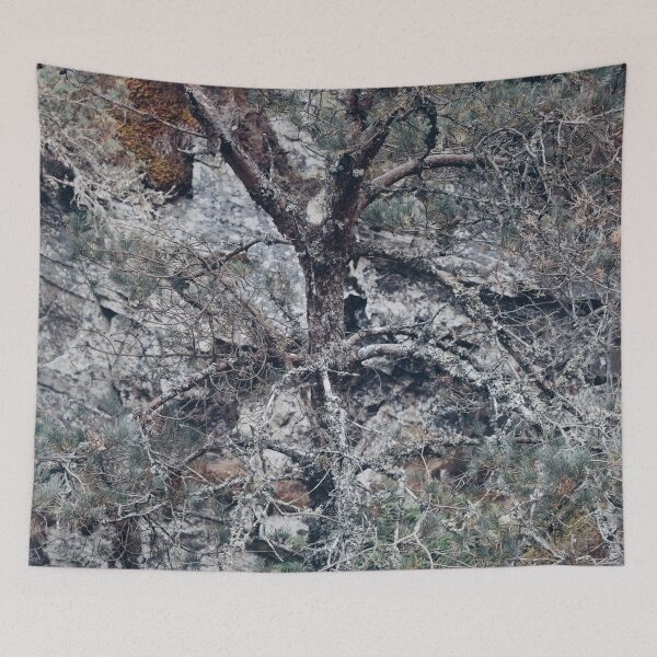 Item preview, Tree and Rock (2) designed and sold by ShinyPhoto.
