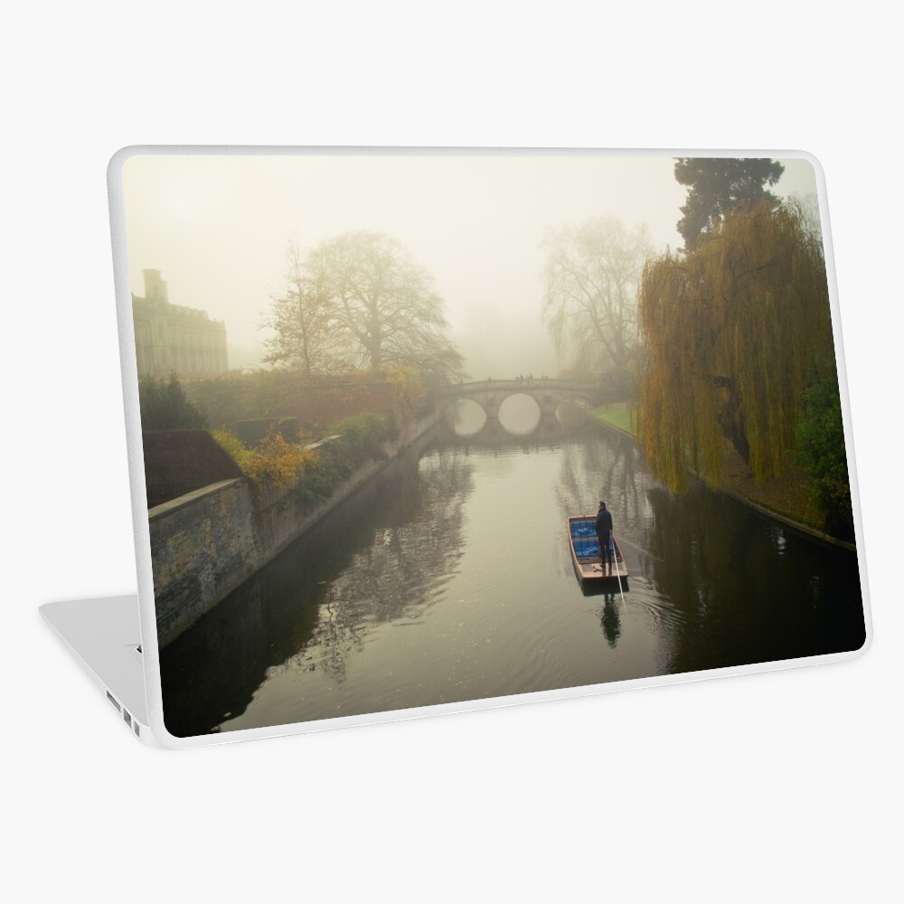 Item preview, Laptop Skin designed and sold by torobala.