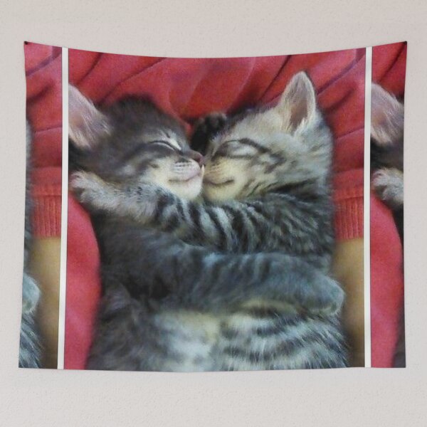 Item preview, Kissing Hug cat photo portrait sweet puppy Cats sweet designed and sold by Coolstuff4you71.