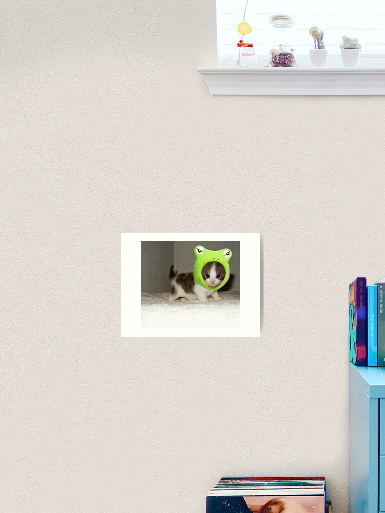 kitten with frog hat Photographic Print by valwerty