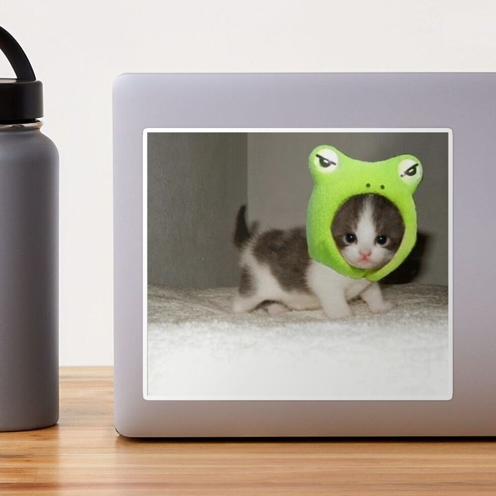 kitten with frog hat Photographic Print by valwerty