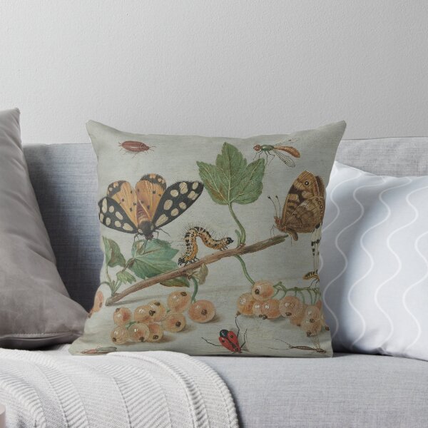 Item preview, Insects and Fruit - Rijksmuseum designed and sold by linggalibrary.