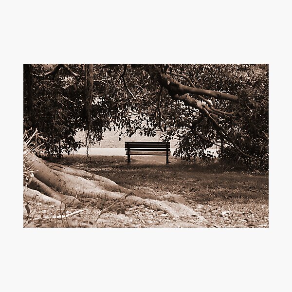 Seclusion Photographic Print