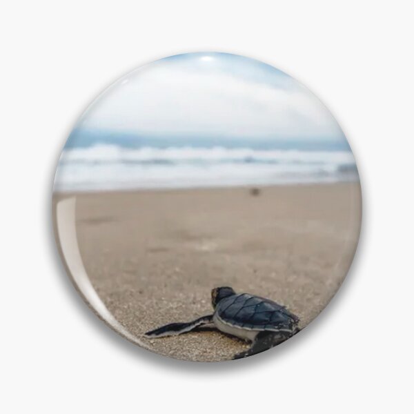 Item preview, Baby Turtle Beach designed and sold by CarleoCreations.