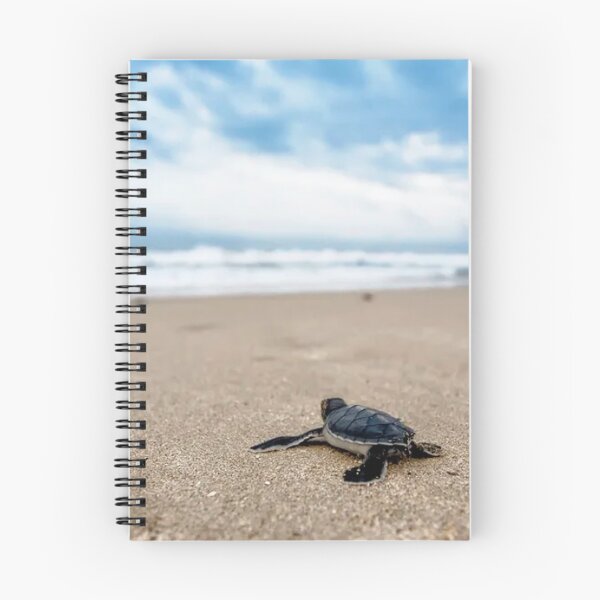Item preview, Baby Turtle Beach designed and sold by CarleoCreations.