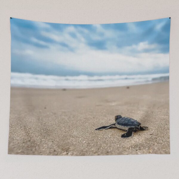 Item preview, Baby Turtle Beach designed and sold by CarleoCreations.
