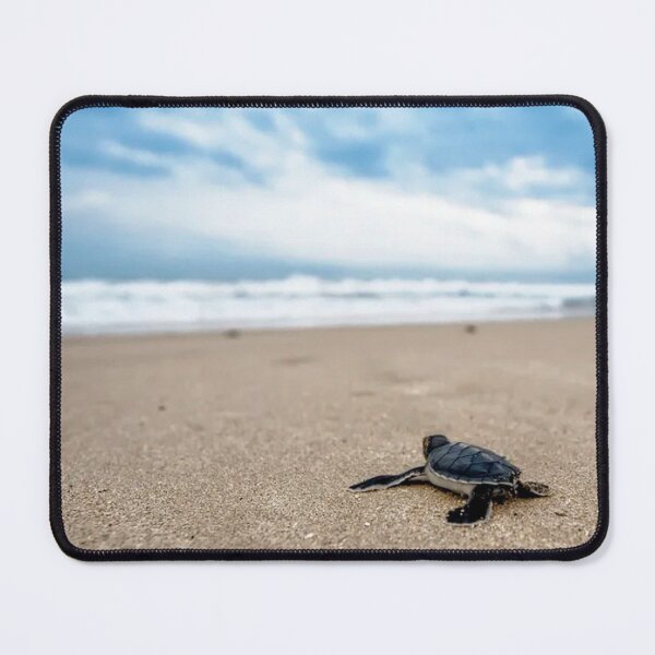 Item preview, Baby Turtle Beach designed and sold by CarleoCreations.