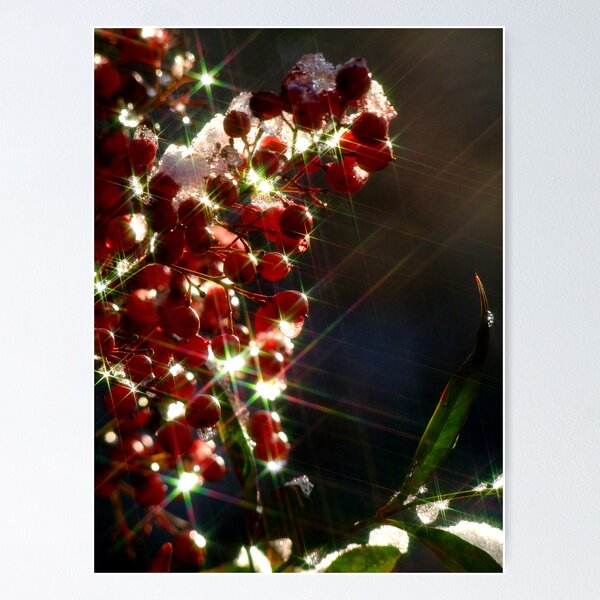 Item preview, Berry Delightful designed and sold by Lolabud.