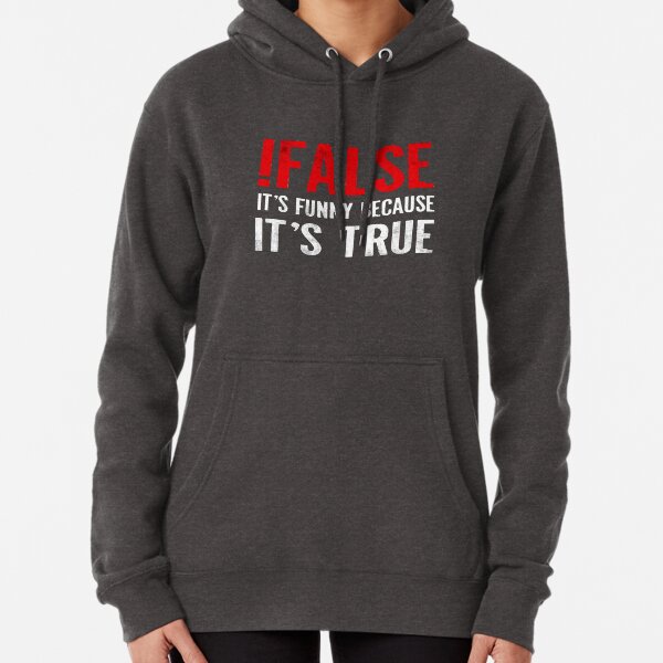 !False It's Funny Because It's True Programmer Quote Geek Pullover Hoodie